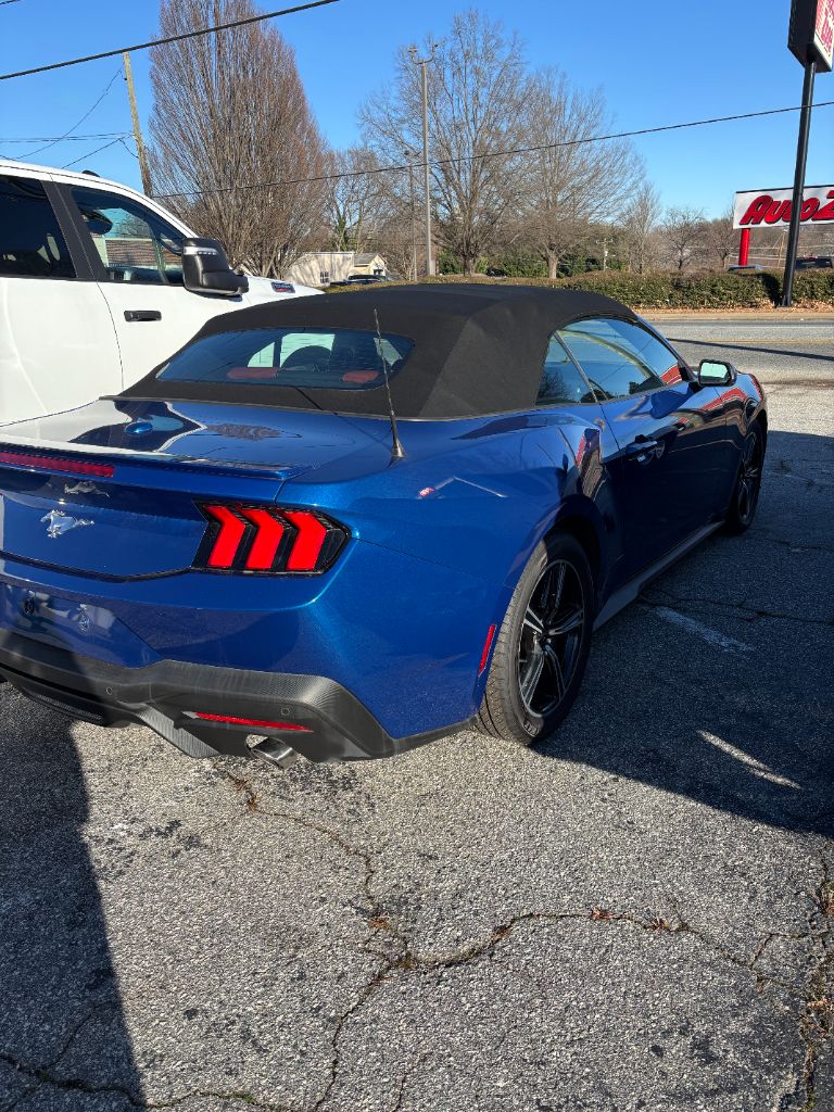 2024 Ford Mustang's photo